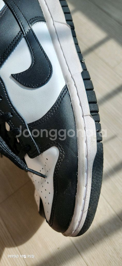 나이키 덩크 로우 범고래 250mm--4