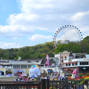 에버랜드 11월2일 일요일 종일권