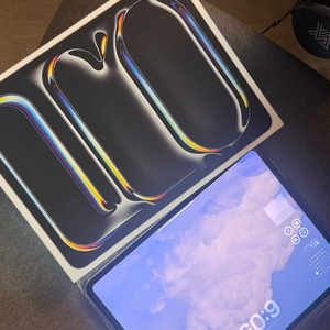 아이패드 프로 M4 13 1tb wifi 실버 +케이스