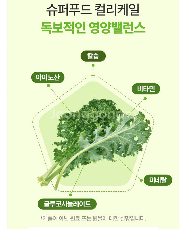 컬리케일분말--5