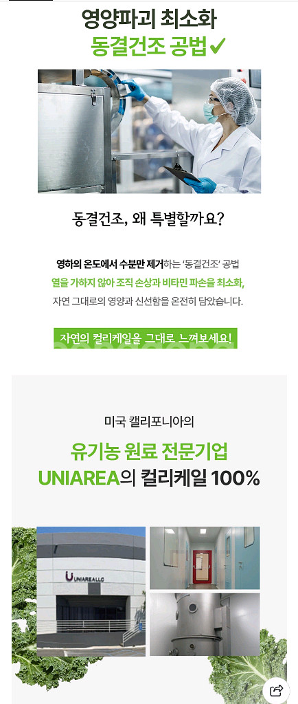 컬리케일분말--9