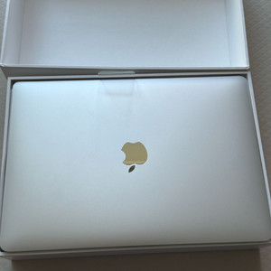 애플 맥북에어 실버 M1 8기가 256ssd