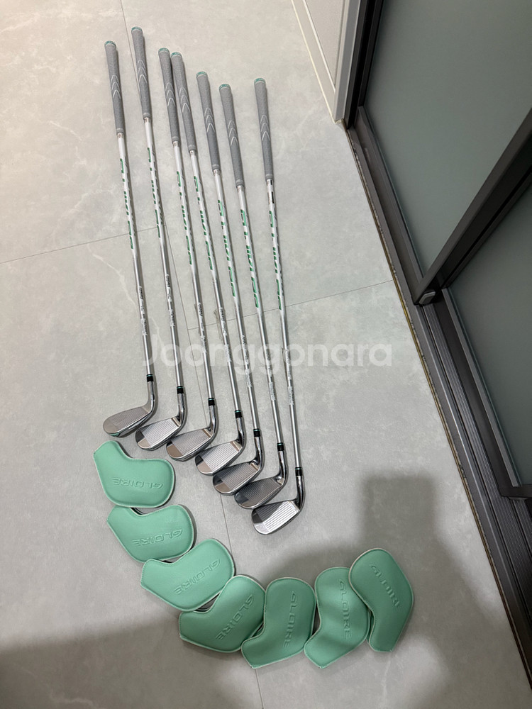 스텔스글로리 여성 아이언--0