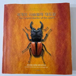 세계의 사슴벌레 대도감