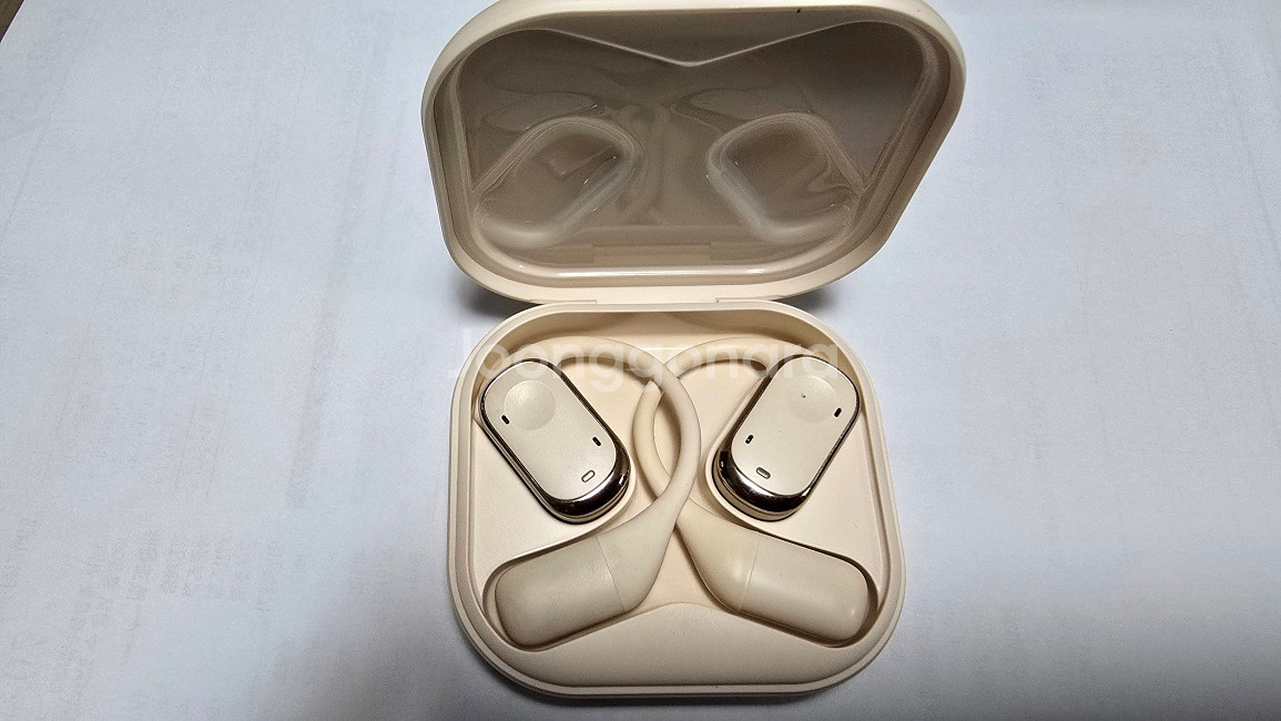 노이즈캔슬링 HI-FI 5.4 독일브랜드 블라우풍트 블루투스이어폰--9