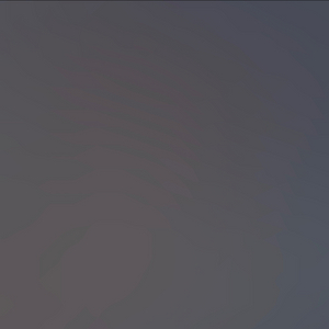 스파이 패밀리 요르