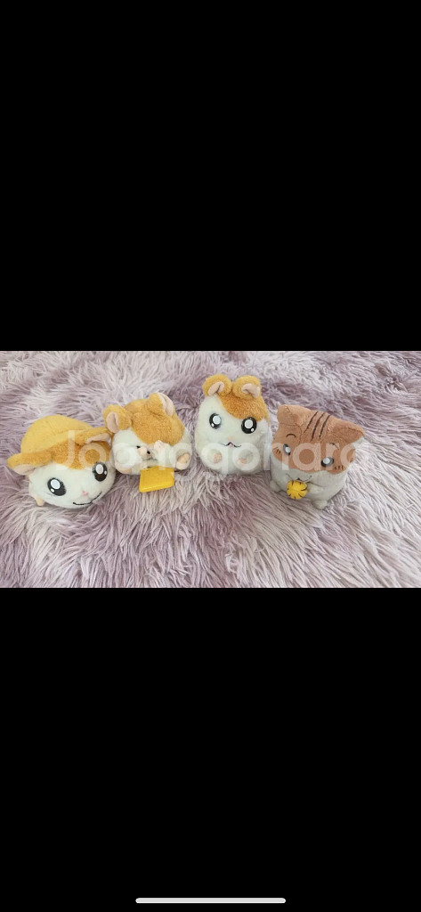 햄스터클럽 햄스터클럽인형 햄스터클럽작동인형 햄스터 쯔무--0