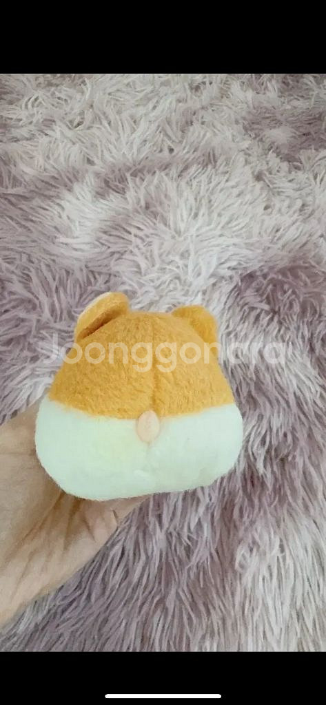 햄스터클럽 햄스터클럽인형 햄스터클럽작동인형 햄스터 쯔무--6