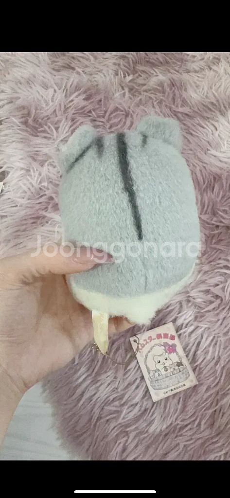 햄스터 인형 키링 햄스터클럽 인형 햄스터구락부 햄스터클--2