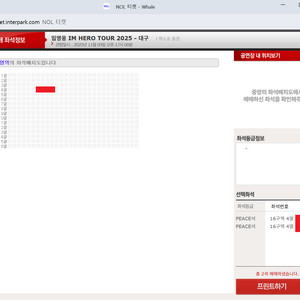 임영웅 대구콘서트 막콘 16구역 2연석