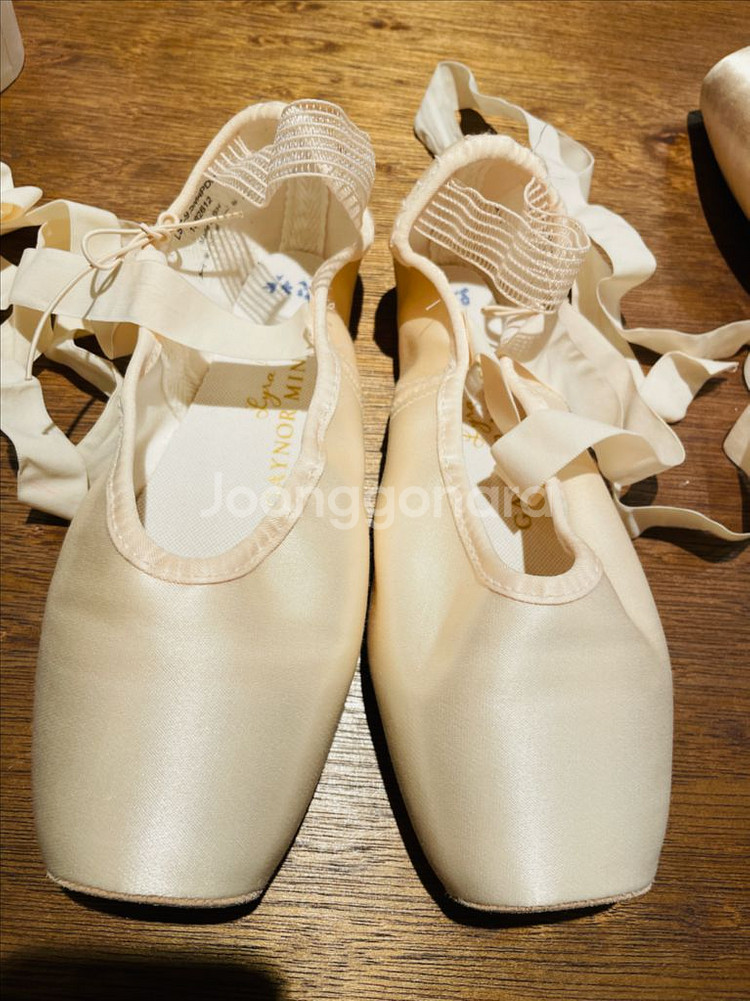 게이놀 민든 토슈즈 팝니다(250) (토싱포함)--0