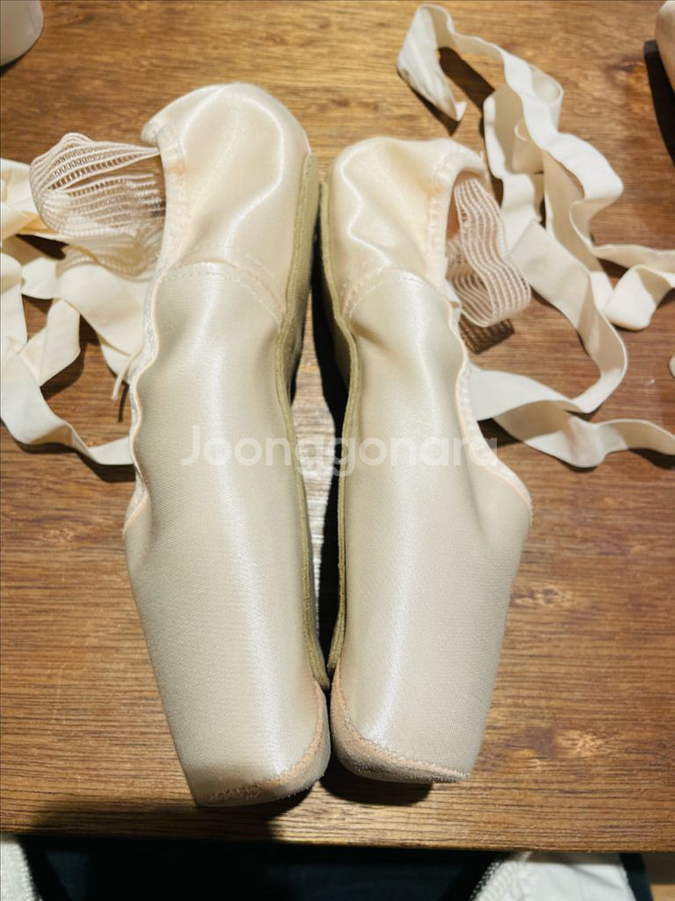 게이놀 민든 토슈즈 팝니다(250) (토싱포함)--1