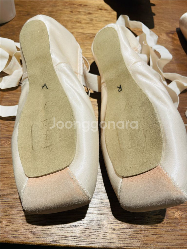 게이놀 민든 토슈즈 팝니다(250) (토싱포함)--2