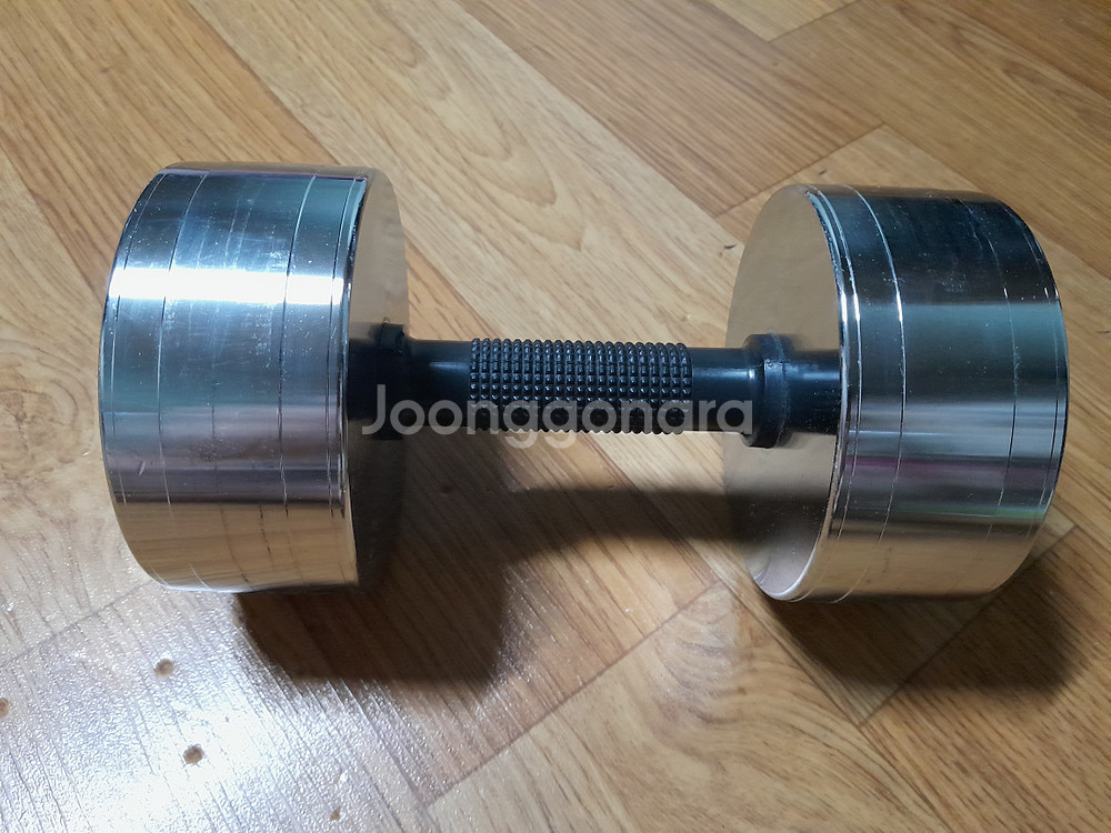 아령 10KG 1개 크롬 도금--4