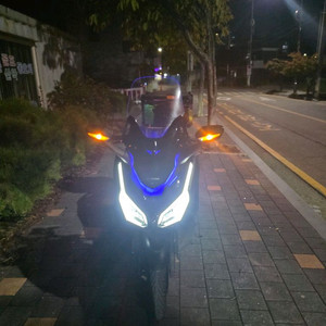 혼다 포르자350 팔아요