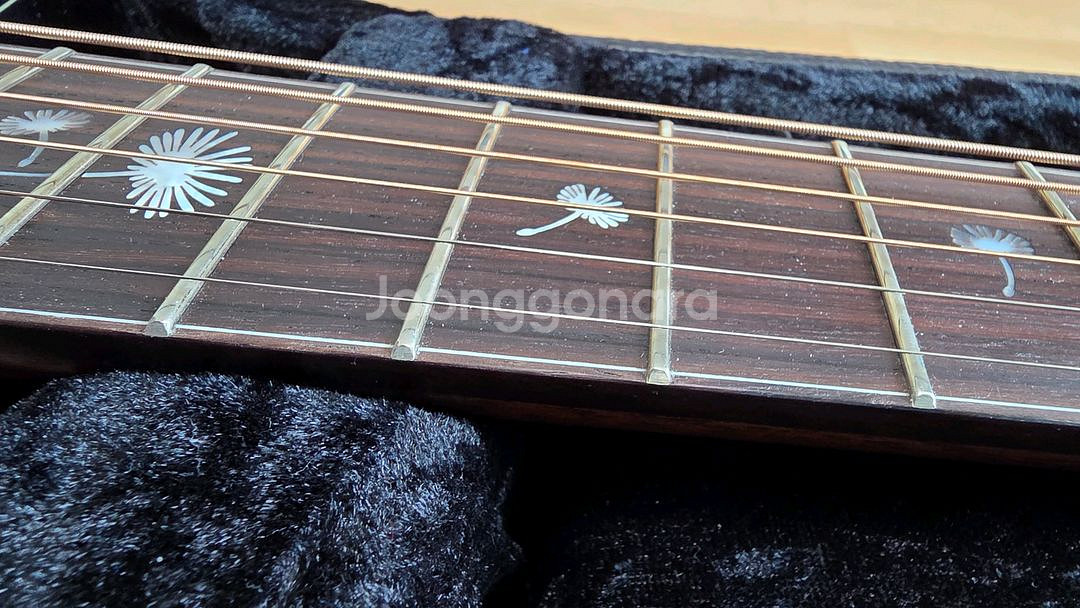 크래프터 Crafter 통기타 MIND G-2500ce--2