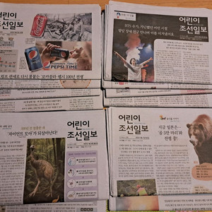 어린이 조선일보(2025.5~2025.8 12주분)