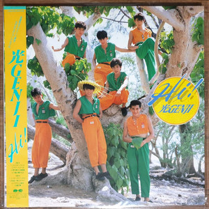 일본 LP 히카루겐지