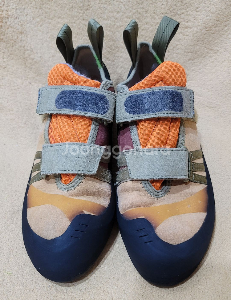 암벽화,부토라암벽화,엔데버시에라골드,초중급자용암벽화,입문용암벽화,볼더링암벽화(260mm,EU41)--1