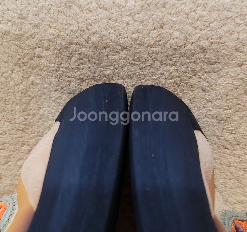 암벽화,부토라암벽화,엔데버시에라골드,초중급자용암벽화,입문용암벽화,볼더링암벽화(260mm,EU41)--3