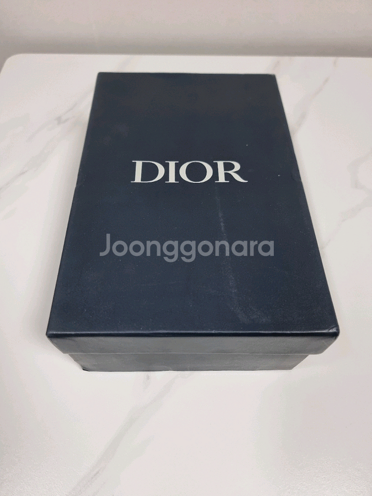 디올 B27 로우탑 스니커즈 그레이--1