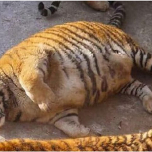 카큐 5만 CP 삽니다.