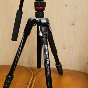 맨프로토 비프리 라이브