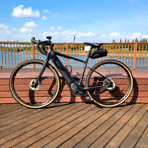 자이언트 리볼트 E+ 전기자전거 S사이즈