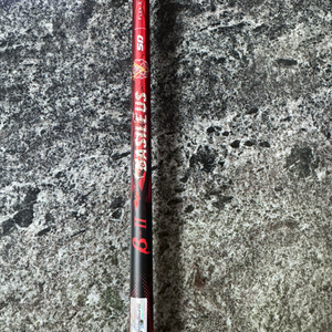 바실리우스 베타2 50-X