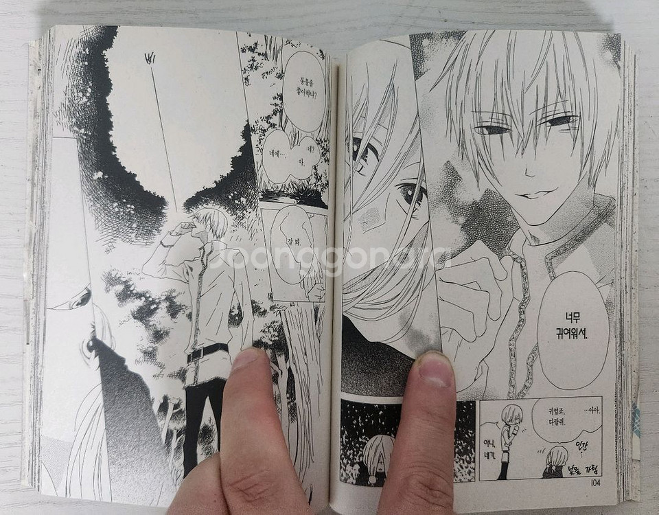 [순정만화책] 왕자와 마녀와 공주와 전권 12권 완결--5