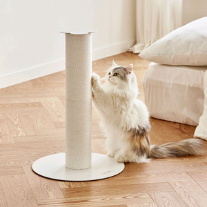 피도테일 클로버 플라워 스크래쳐 수직기둥