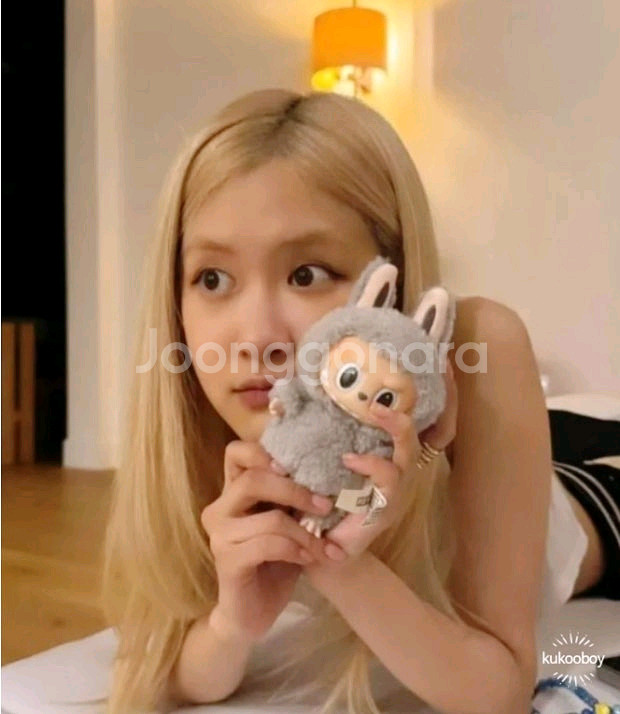 팝마트 라부부 하이라이트 미개봉--1