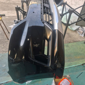 카니발리무진앞범퍼 2021년 이미지