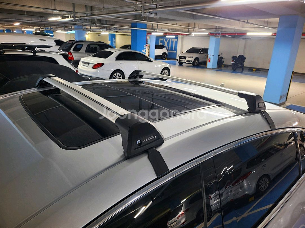 알페온 캐리어 가로바--1