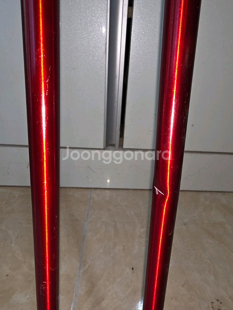 Rossignol ACTYS RED 스키 폴 120cm--5