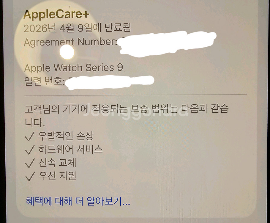 애플워치 시리즈9 GPS 41mm 스타라이트 (애케플 포함) 팝니다.--5