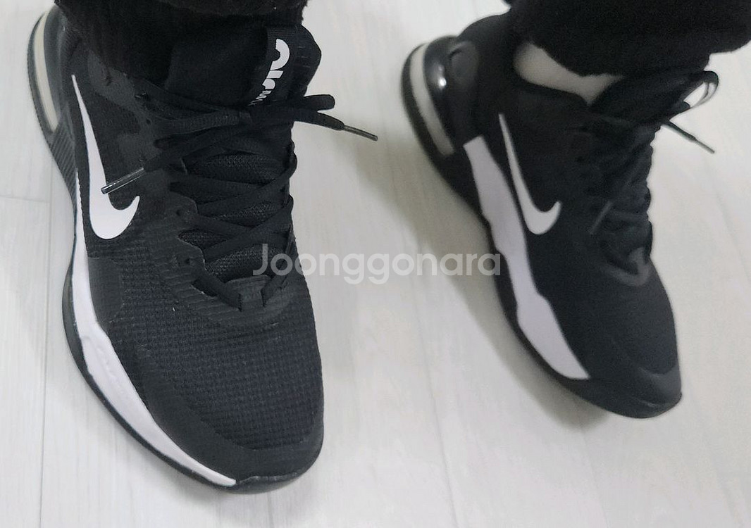 나이키 에어맥스 알파 트레이너5 / 265--0