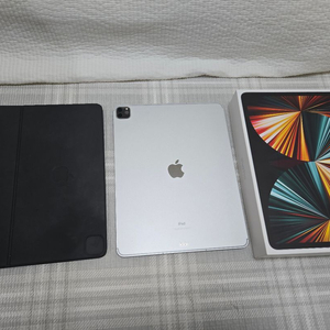 아이패드프로12.9 5세대 2TB 셀룰러 애케플 매직키