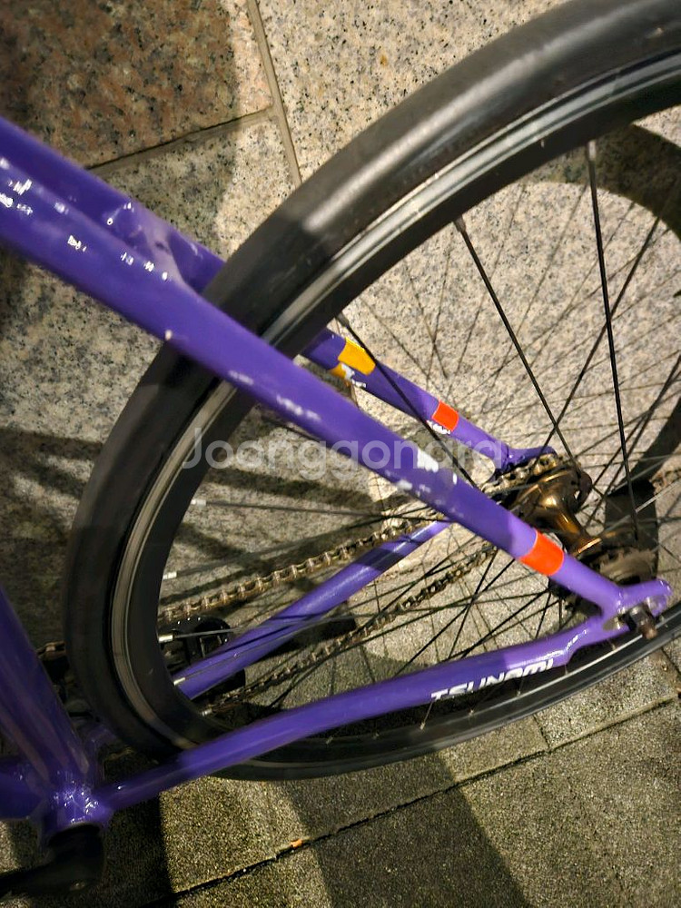 쓰나미 픽시 자전거--3