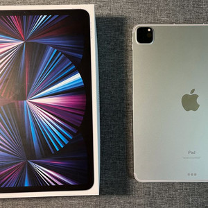 아이패드 프로 11인치 M1 256GB 셀룰러 실버