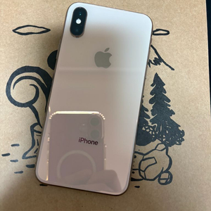 아이폰 xs 256 이미지