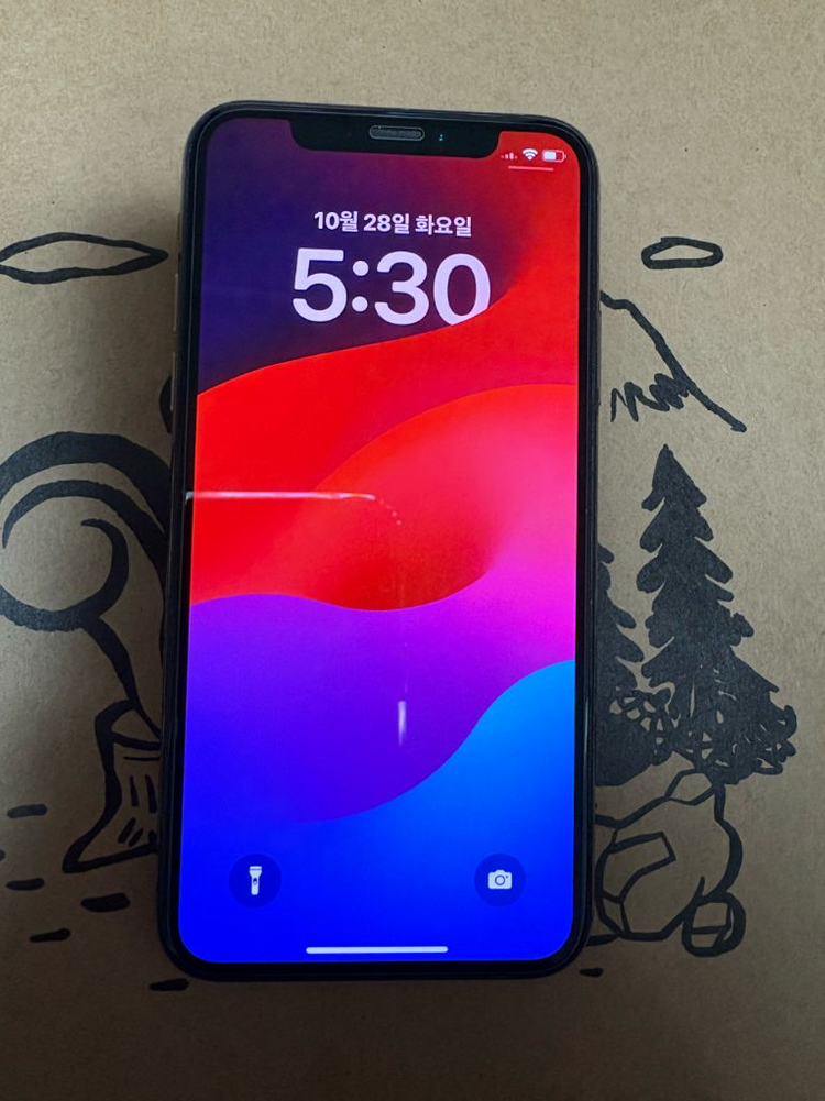 아이폰 xs 256 이미지