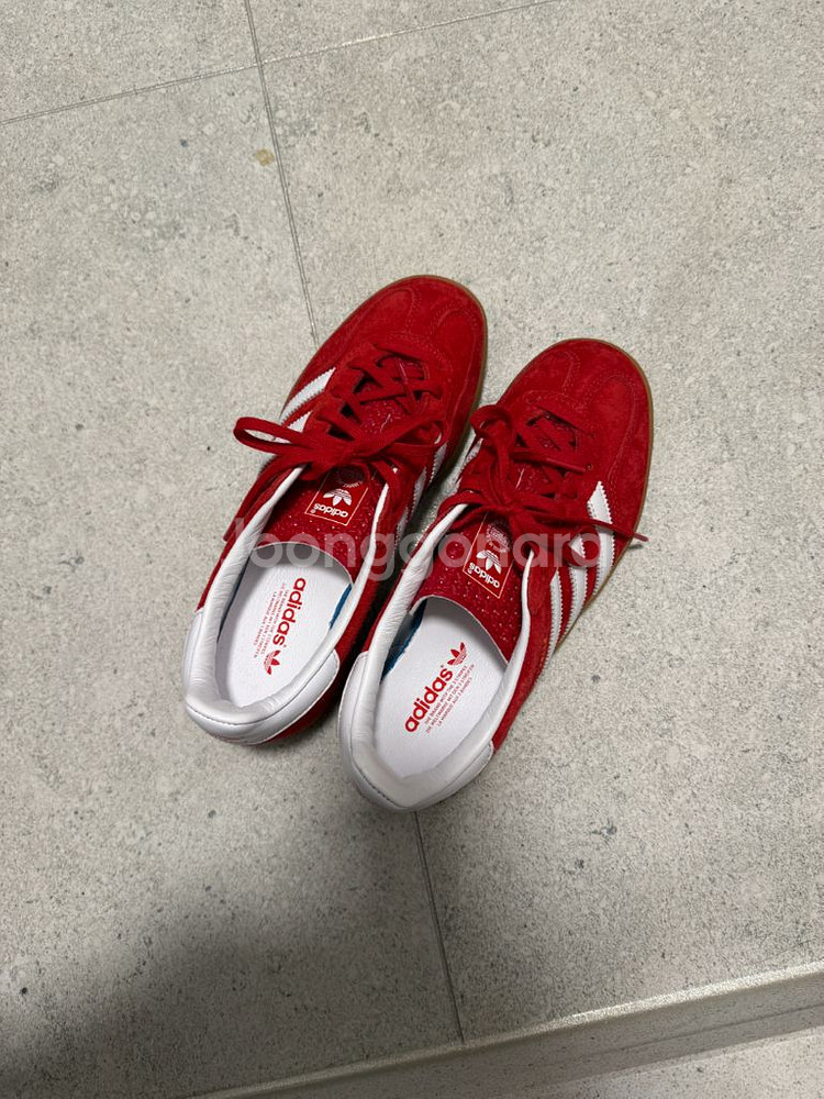 아디다스 가젤 인도어 스칼렛--0