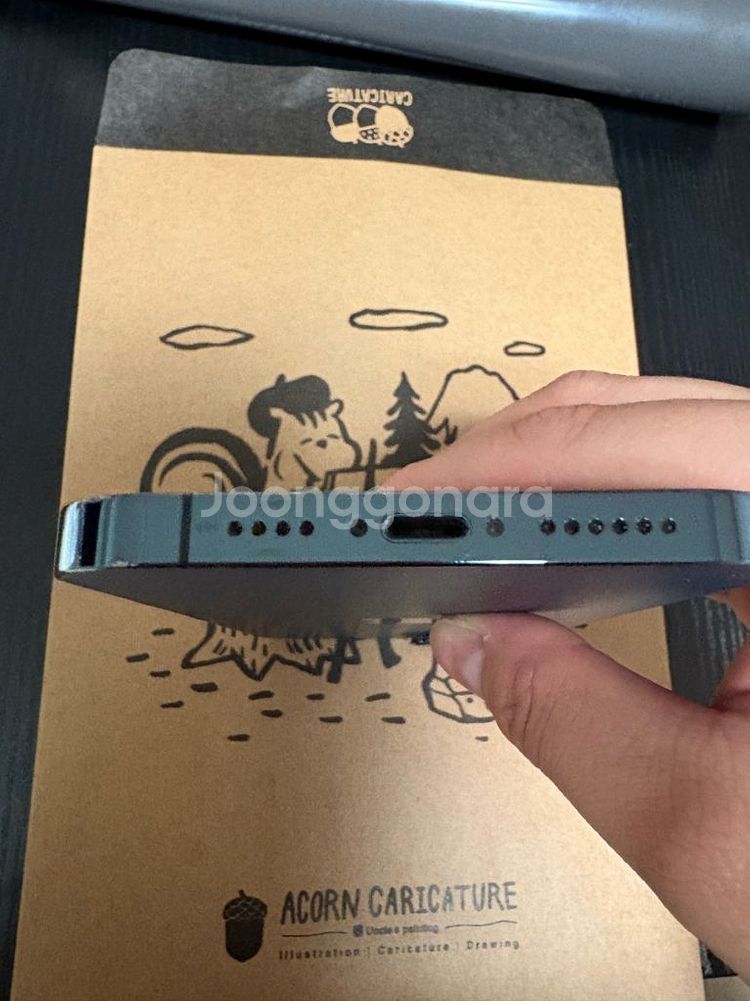 아이폰 12 프로맥스 255--3