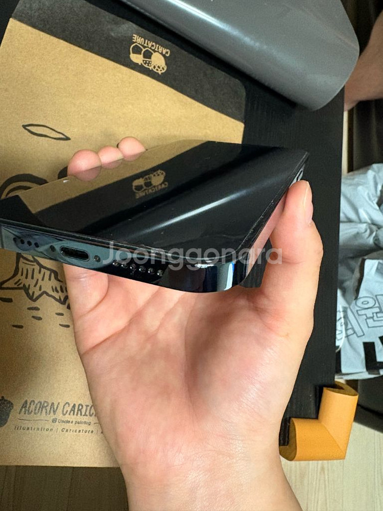 아이폰 12 프로맥스 255--5