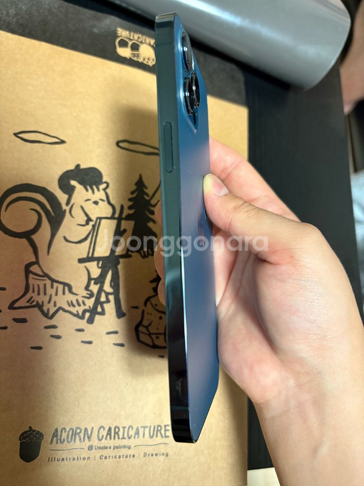 아이폰 12 프로맥스 255--4