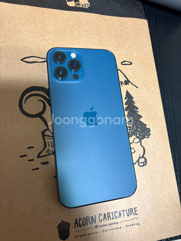 아이폰 12 프로맥스 255--0