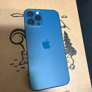 아이폰 12 프로맥스 255