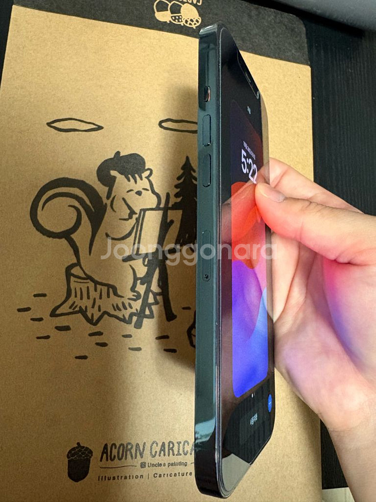 아이폰 12 프로맥스 255--6