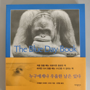 책 도서 블루 데이 북 The Blue Day Book